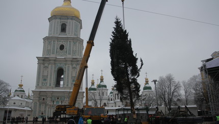 На Софиевской площади устанавливают новогоднюю елку