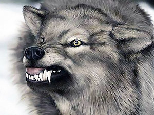 В Донбасс пришли волки из России