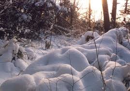 В Украине уже есть первые обмороженные и замерзшие насмерть люди