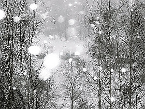 В Украине пройдут снег и метели