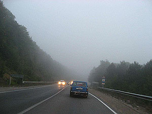 В тумане на Тернопольщине погиб водитель 