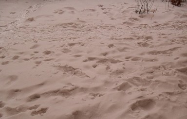 На праздники в России выпал коричневый снег