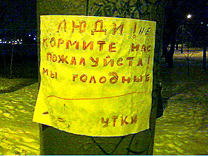 «Покормите нас! Мы голодные!»: в Донецке «заговорили» утки