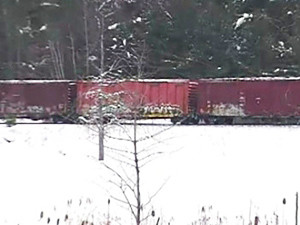 В Канаде столкнулись два поезда, более 20 вагонов сошли с рельсов