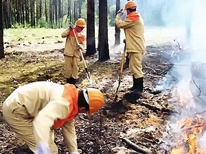 Киевлянам запретили ходить на пикники в леса