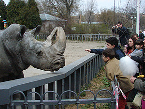Депутаты ВР предлагают закрыть Киевский зоопарк
