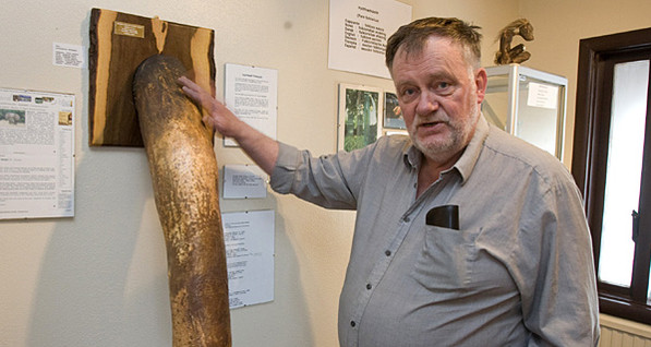 95-летний старик подарил свой пенис фаллогическому музею