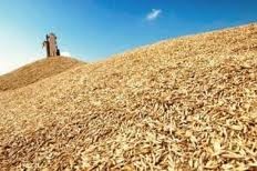 Украина с Казахстаном и Россией создаст зерновой пул