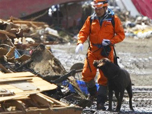 Число жертв землетрясения и цунами в Японии превысило 13,8 тысяч человек