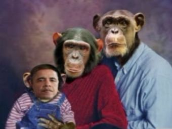 Американский политик сравнила Барака Обаму с сыном шимпанзе 
