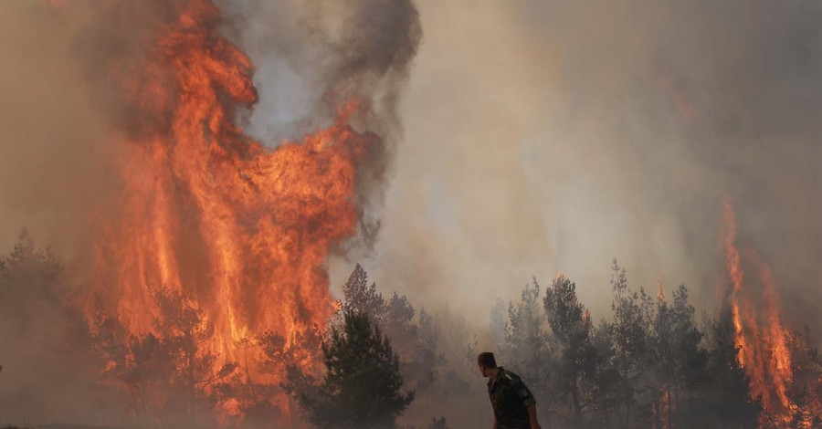 Украинец спалил 100 гектар российского леса