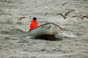 Техасским рыбакам запретят привирать