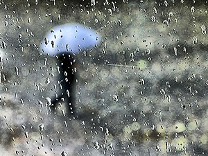 Дожди пройдут в центральных, северных областях и в Карпатах