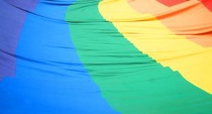 Украинские гомосексуалисты полюбили Приходько, Повалий и Лободу