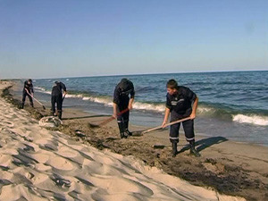 С одесских пляжей уже выгребли весь «нефтяной» песок