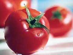 Из-за дождей Украина потеряет часть урожая томатов и пшеницы
