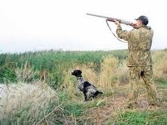 В Украине открыли сезон охоты на пернатых