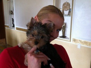 Кот Анастасии Волочковой невзлюбил ее собаку