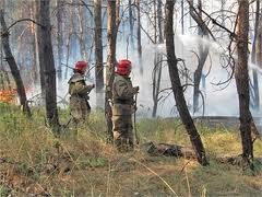 Киевлянам запретили разжигать костры