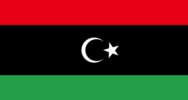 ПНС Ливии получил право представлять страну в Генассамблее ООН
