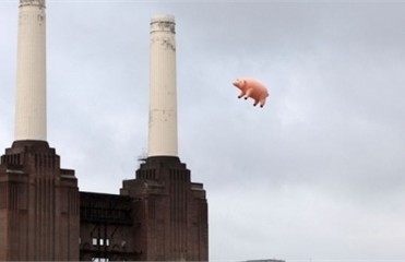 Над крышами пролетела большая розовая свинья