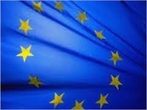 ЕС обсудит дело Тимошенко