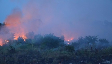 В Николаеве вспыхнул масштабный пожар на свалке