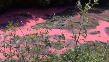 Эко-катастрофа под Киевом: Отравленная химией река в Василькове стала красной