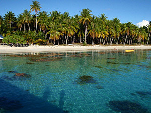 На Маркизских островах ищут каннибалов, закусивших в XXI веке туристом