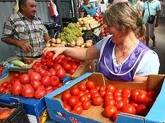 Цена на помидоры и огурцы взлетела на 73%