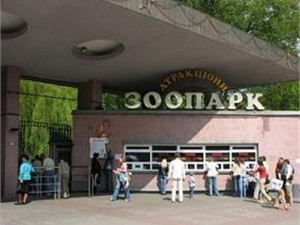 Счета Киевского зоопарка арестовали за старые долги
