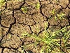 В Мексике сильнейшая засуха за последние 70 лет