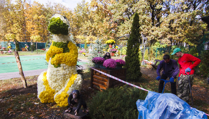 Бал хризантем в Харькове удивит рекордным количеством цветов 