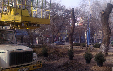 В Донецке на месте, где был палаточный городок чернобыльцев, сажают елки
