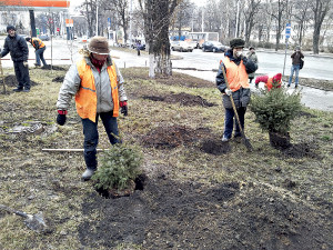 На месте палаточного городка в Донецке красуются елки 