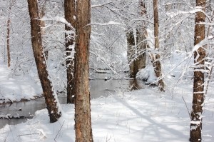 3 января синоптики обещают небольшой снег