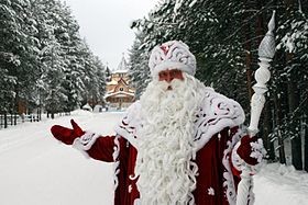Толпа растерзала молодого человека, одетого в костюм Деда Мороза