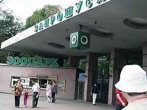 Киевский зоопарк решил залить водой обезъянник