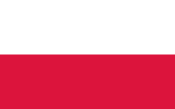 Польша предъявила первые обвинения в деле о гибели Леха Качинського