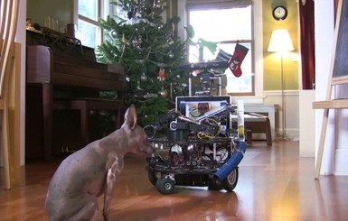 Microsoft Robotics выпускает на рынок робота-сиделку для домашних животных 