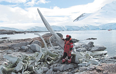 Наши ученые в Антарктиде делают открытия и живут без всяких Интернетов 