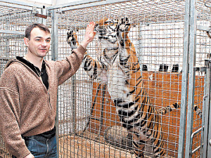Лев Кубик семь лет страдает от безответной любви к тигрице 
