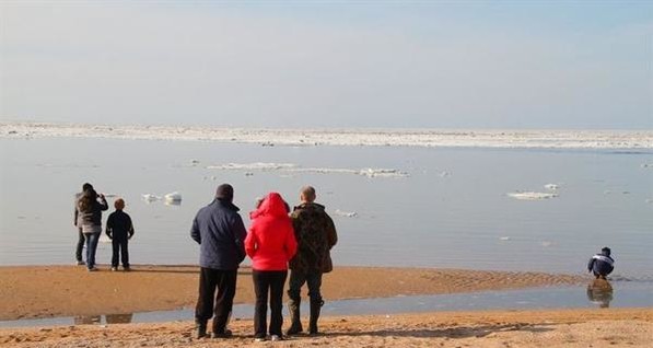В Крыму 60 дельфинов  из ледяной ловушки спас юго-западный ветер