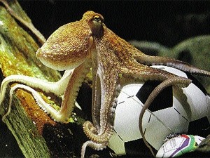 Кузен осьминога Пауля займется предсказанием результатов матчей Евро-2012