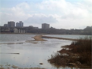 Новый Водный кодекс Украины: озера и пруды 