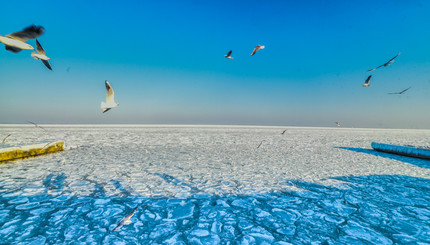 Фотограф запечатлел скованное льдами Черное море у берегов Одессы.