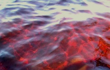 В Бердянске море стало кроваво-красным