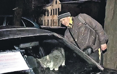 Котенка из запертой машины спасли благодаря Одноклассникам 