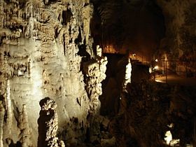 В крымской пещере обнаружено древнее чудище