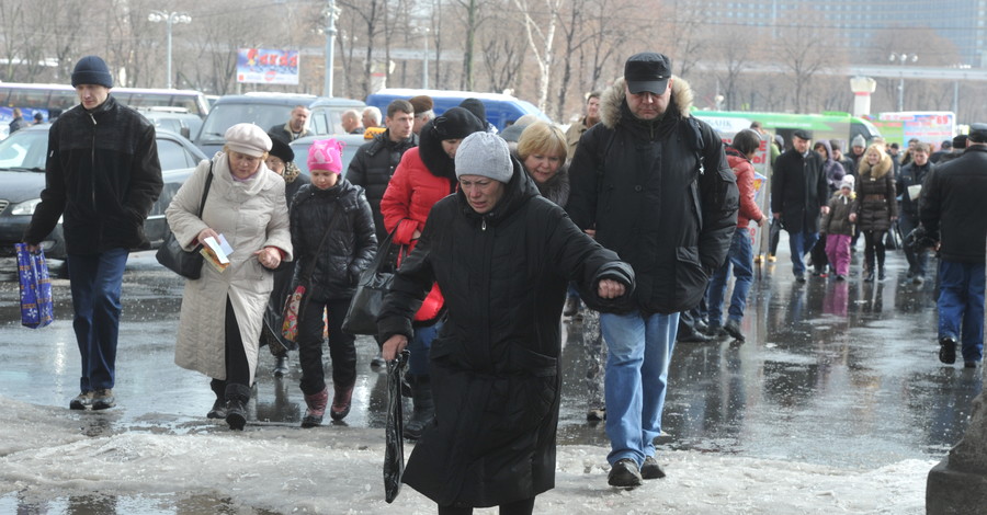 Мартовская вьюга в Донбассе валила деревья и останавливала транспорт
